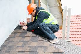 Best Roof Maintenance and Cleaning  in Avis, PA